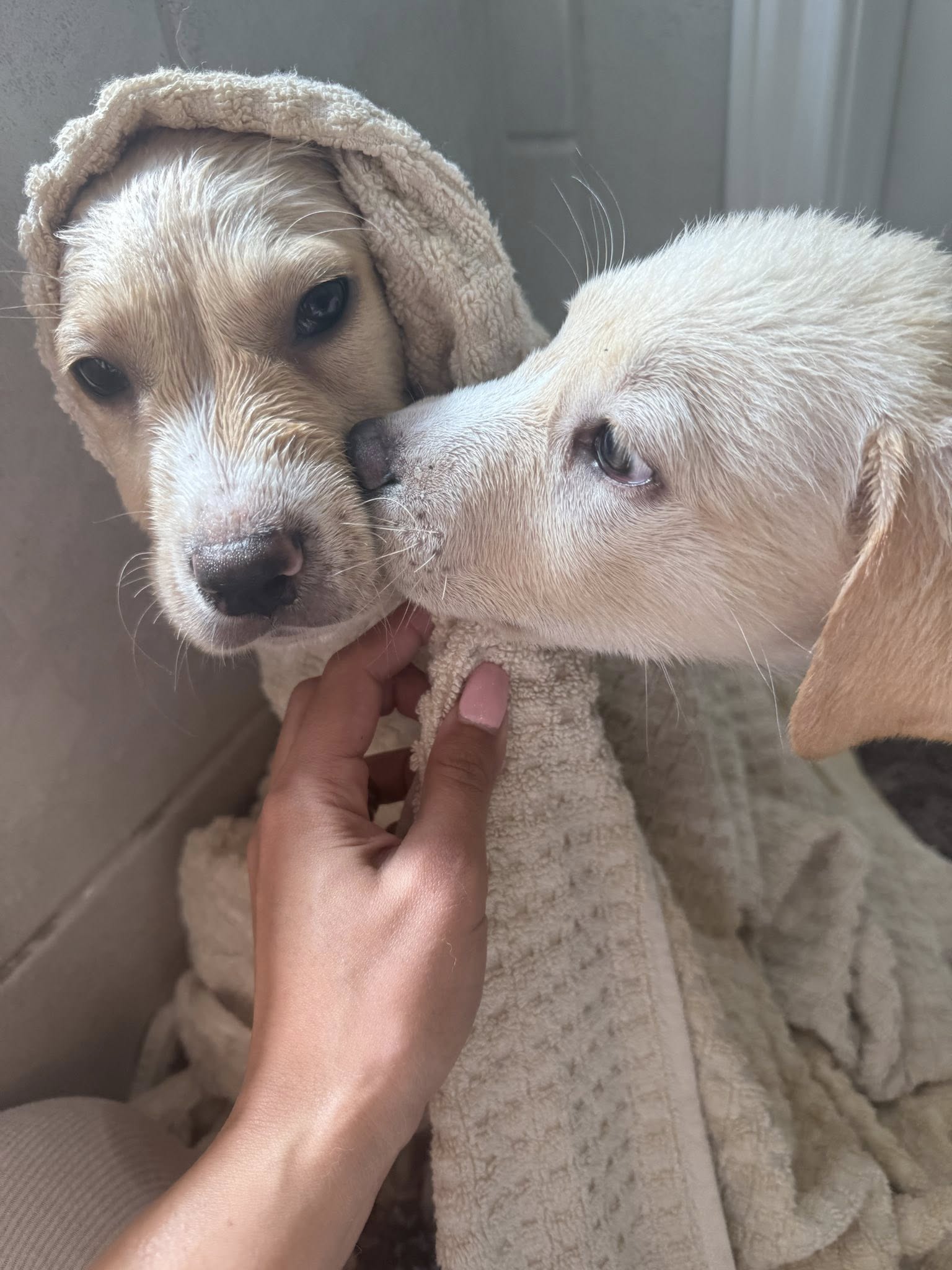 The Meaning Behind Rescue Moments - LURE Wellness