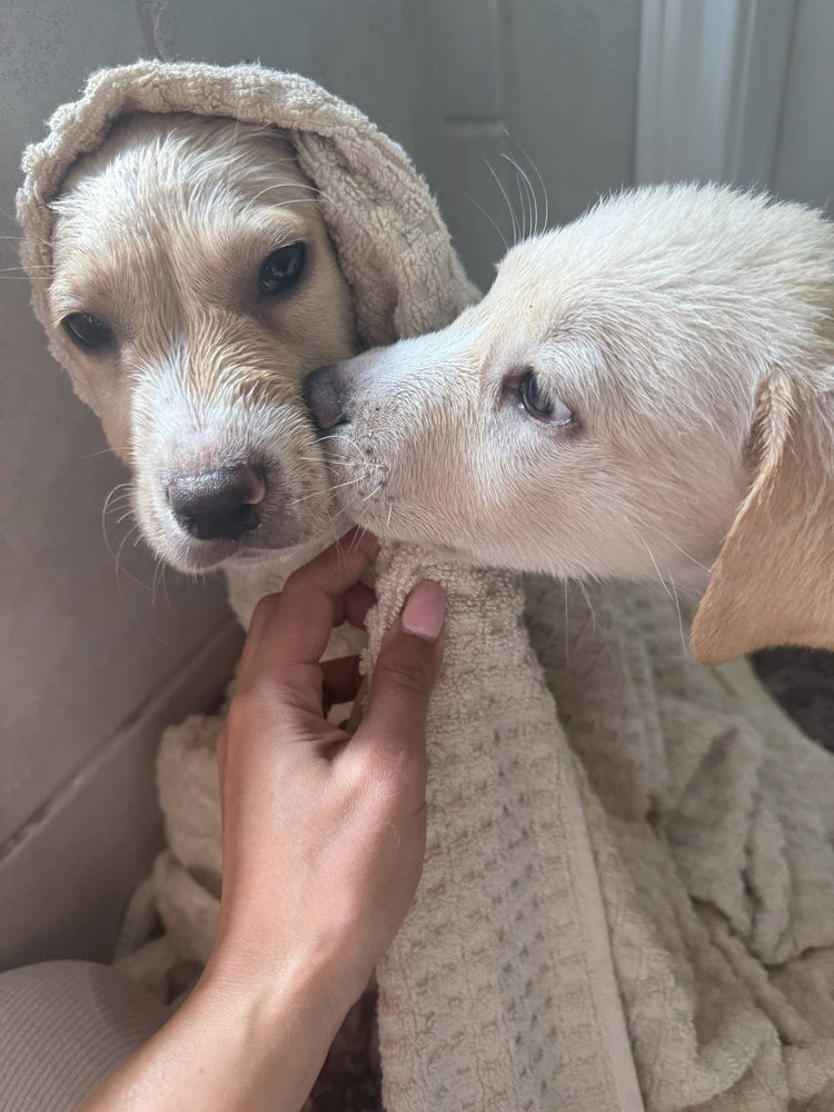 The Meaning Behind Rescue Moments - LURE Wellness