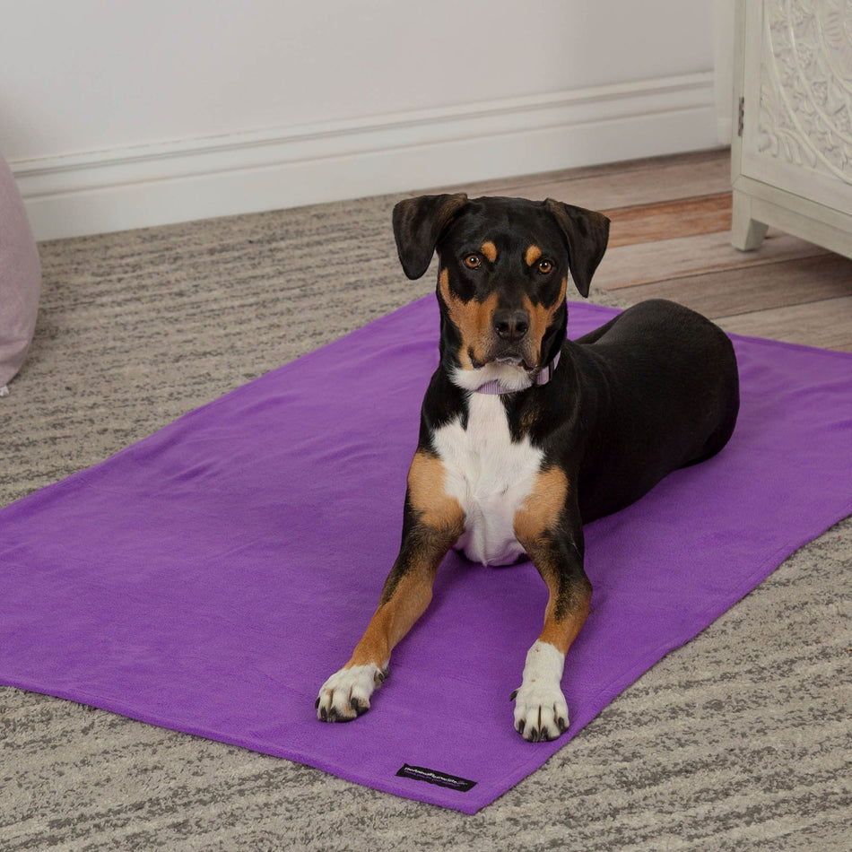 Snuggle Paws Signature Pet Blanket and Cozy Fleece Lounge Cushion