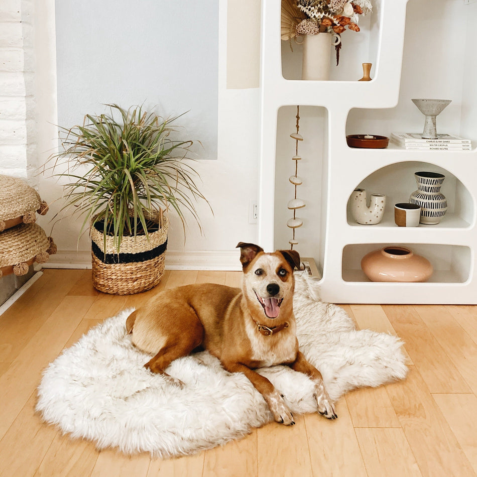 PupRug® Faux Fur Orthopedic Dog Bed - Curve White with Brown Accents