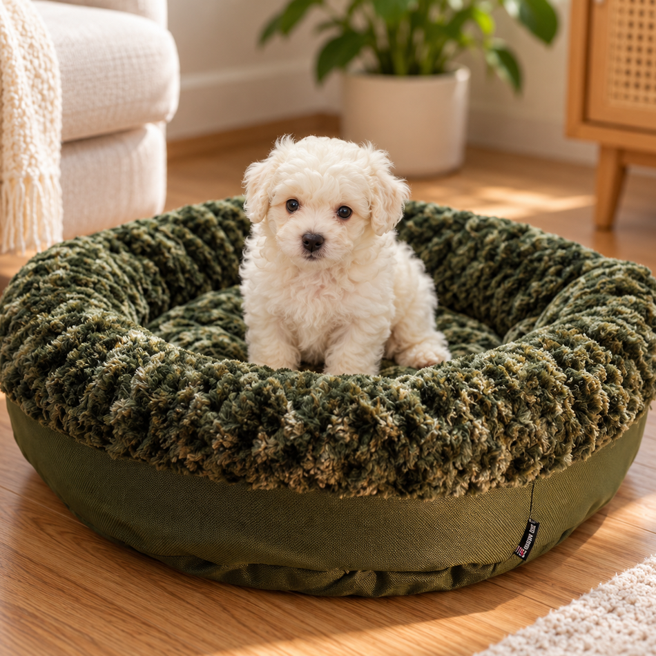 A small white puppy sits inside a round, ribbed green pet bed on a wooden floor in a cozy living room setting.