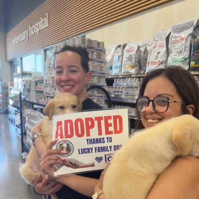 Two people holding puppies with an 'ADOPTED' sign in a store setting.