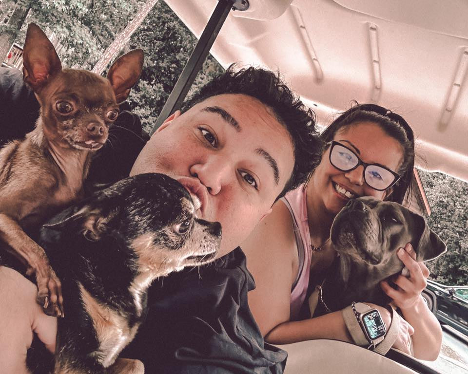 Two people with three small dogs inside a vehicle.