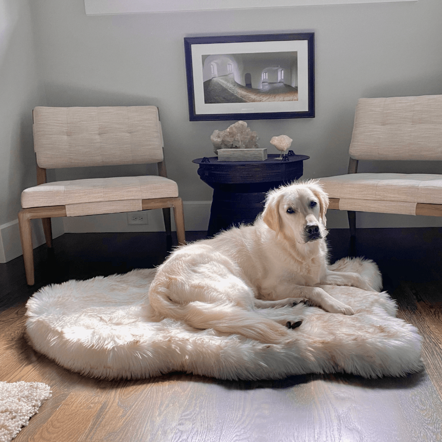 PupRug® Faux Fur Orthopedic Dog Bed - Curve White with Brown Accents