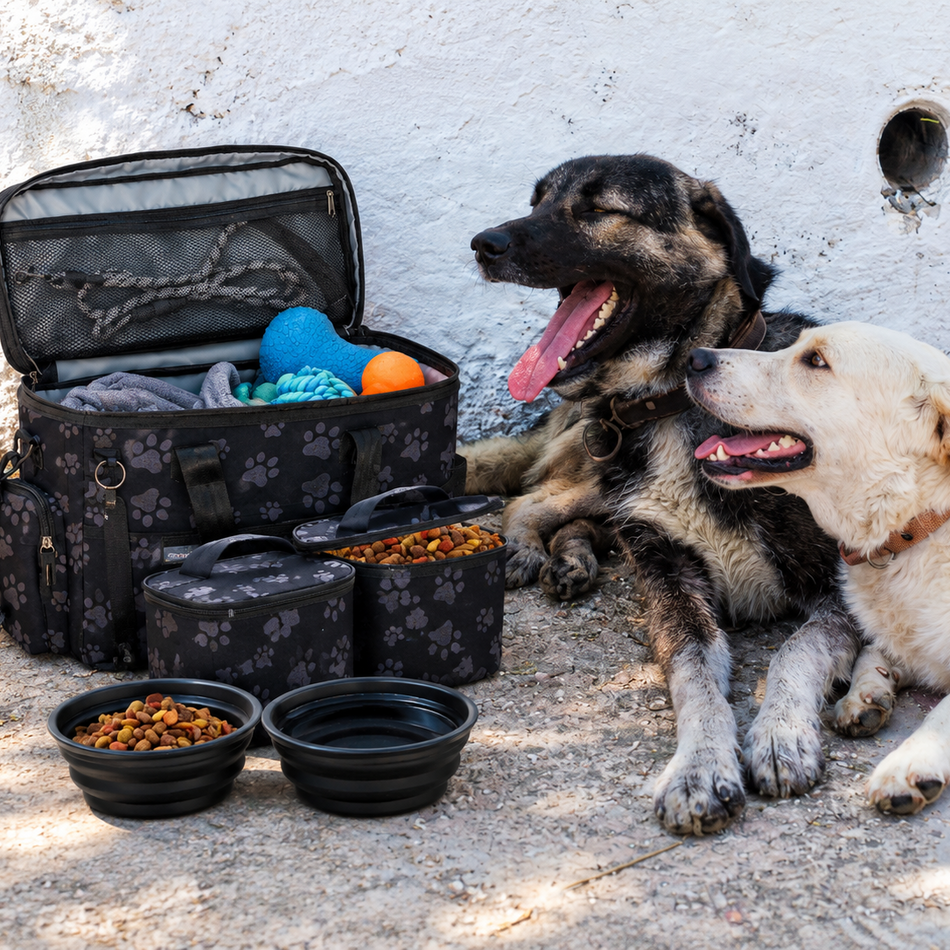 A black pet travel bag with floral print is open on the ground next to two dogs, with matching pet bowls and food containers arranged around it. One dog is black and tan and the other is cream, both looking toward the bag.