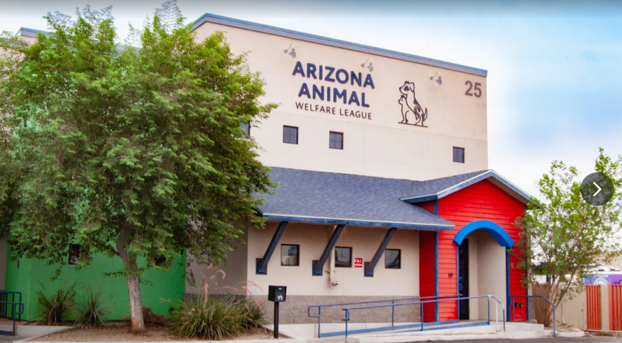 Arizona Animal Welfare League