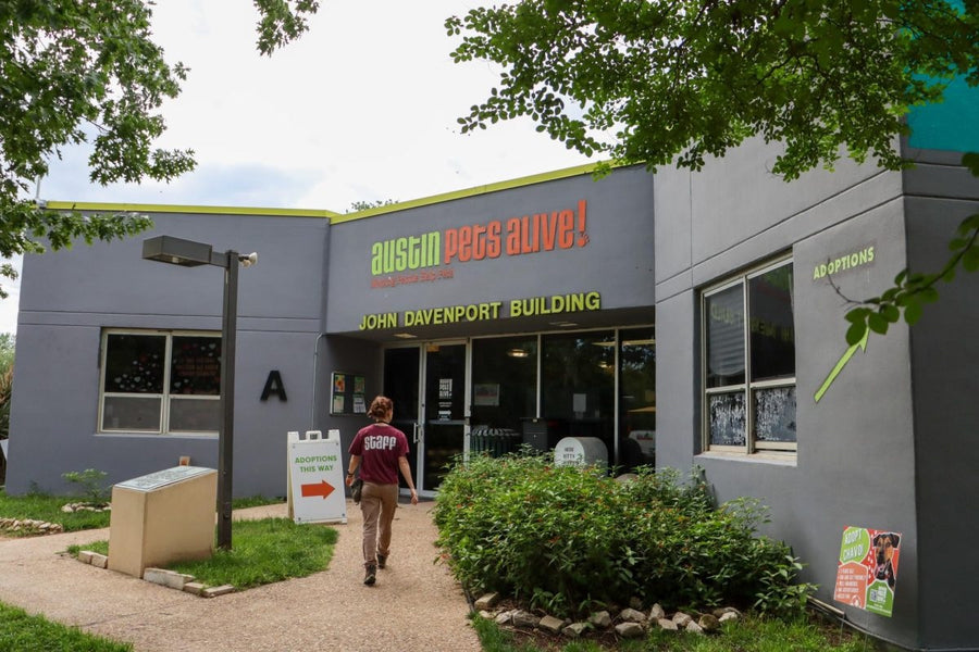 Austin Pets Alive!