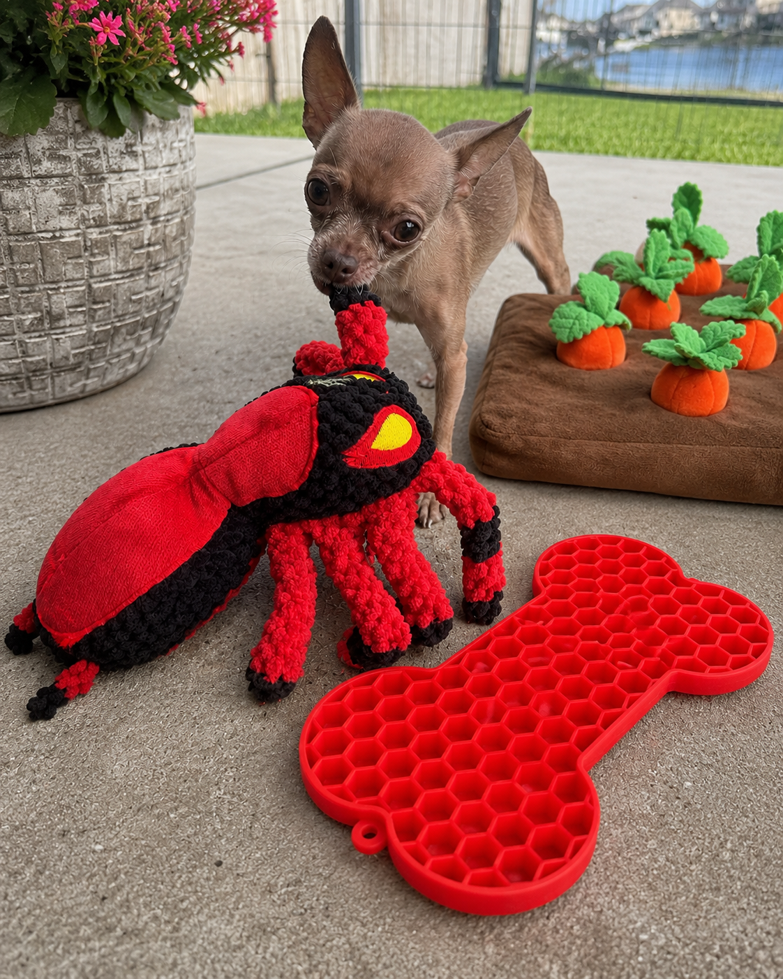 Dog enrichment toys including snuffle mats and lick pads for calming focus — LURE Wellness