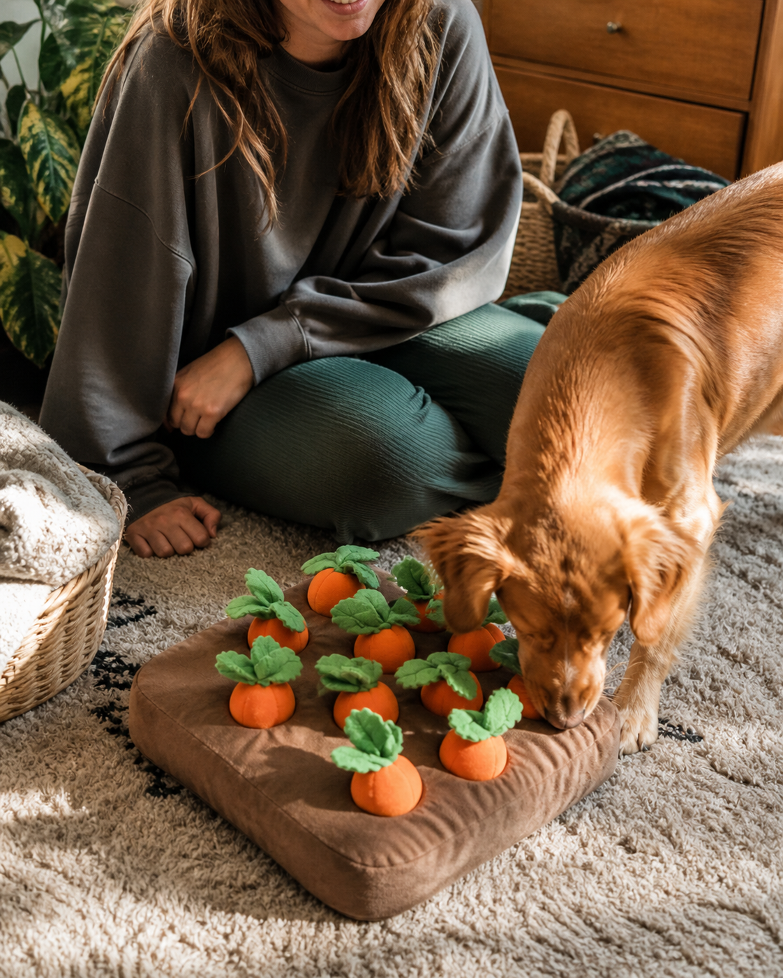 Carrot Snuffle Mat for Dogs