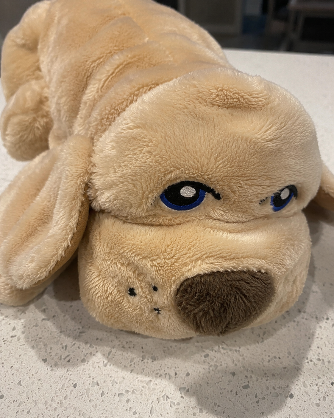 Close-up of a beige plush dog toy with blue eyes on a light surface.