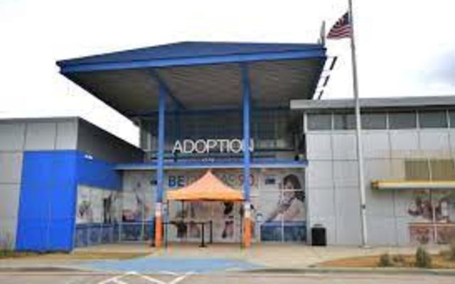 Dallas Animal Services