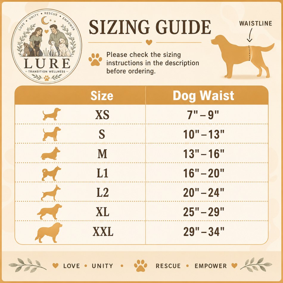 Washable Male Dog Belly Bands, 3 Pack XXL