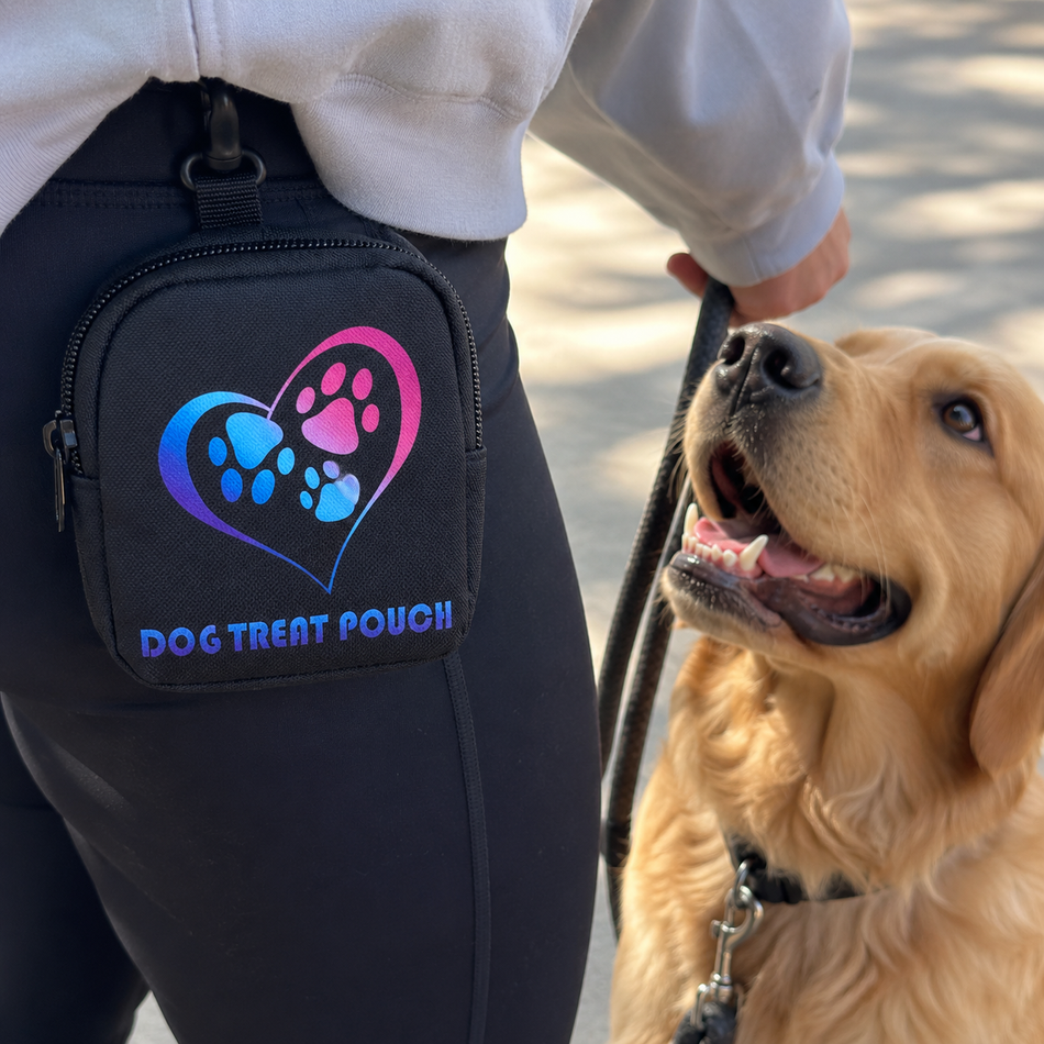 Portable Treat Pouch