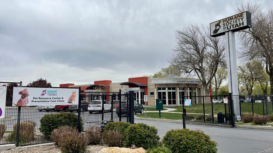 Humane Society of Utah