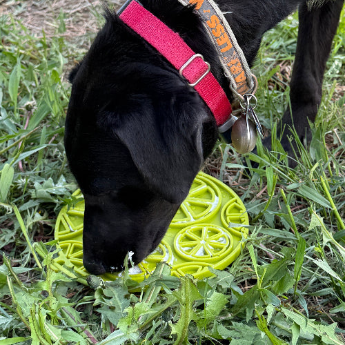 Citrus Suction Lick Mat