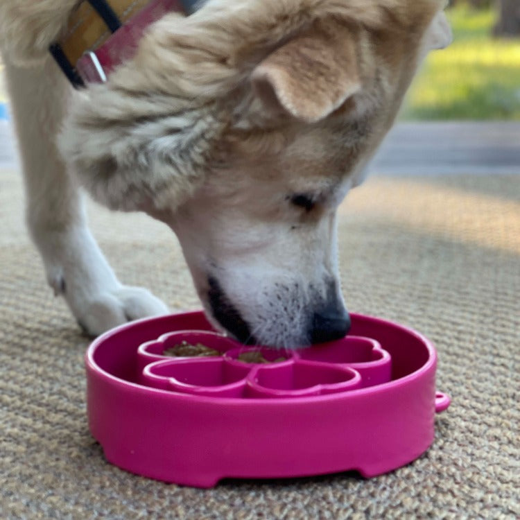 Flower Slow Feeder Enrichment Bowl