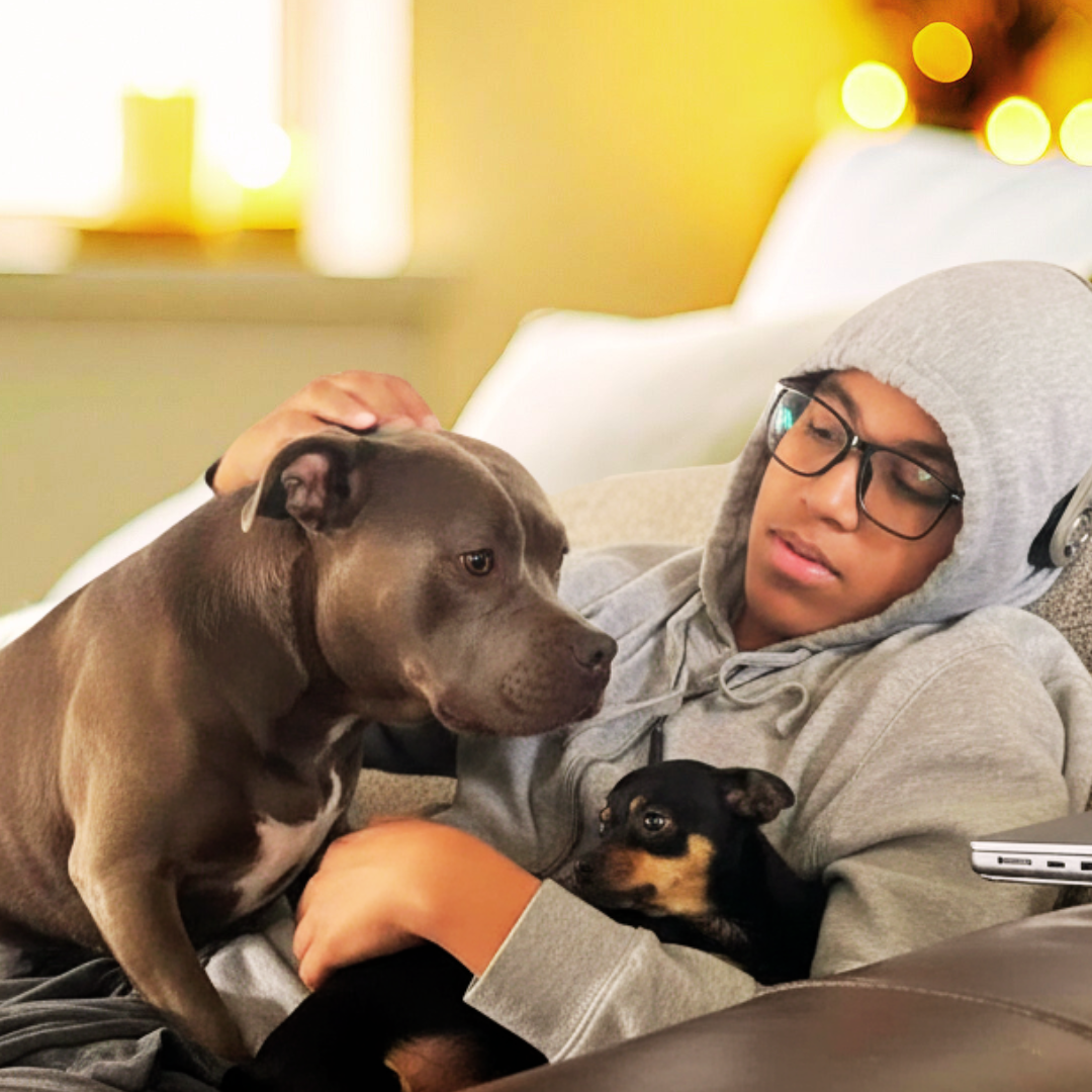 Person sitting on a couch with two dogs, one in each lap, in a cozy room.