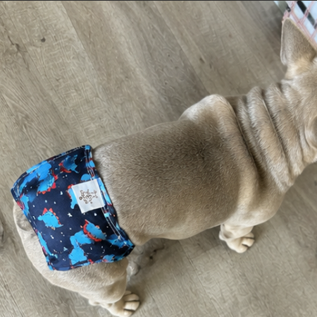 Dog wearing a patterned diaper on a wooden floor