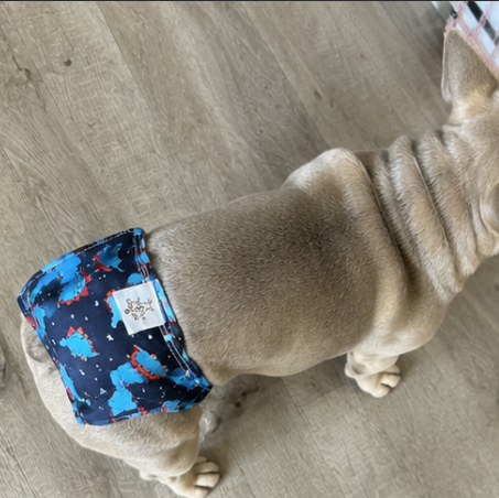 Dog wearing a patterned diaper on a wooden floor