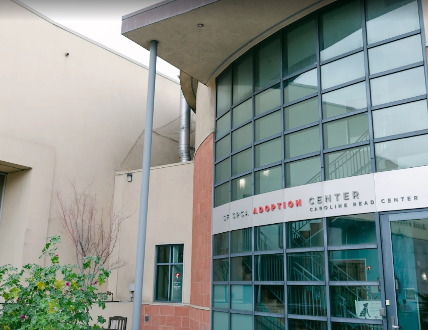San Francisco SPCA