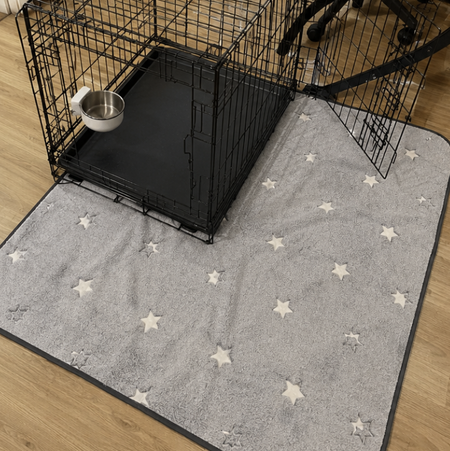 Pet crate with a star-patterned mat on a wooden floor