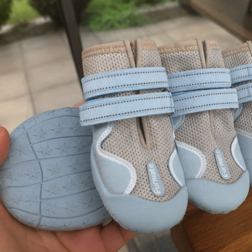 Pair of beige and blue pet shoes held by a hand on a wooden surface.