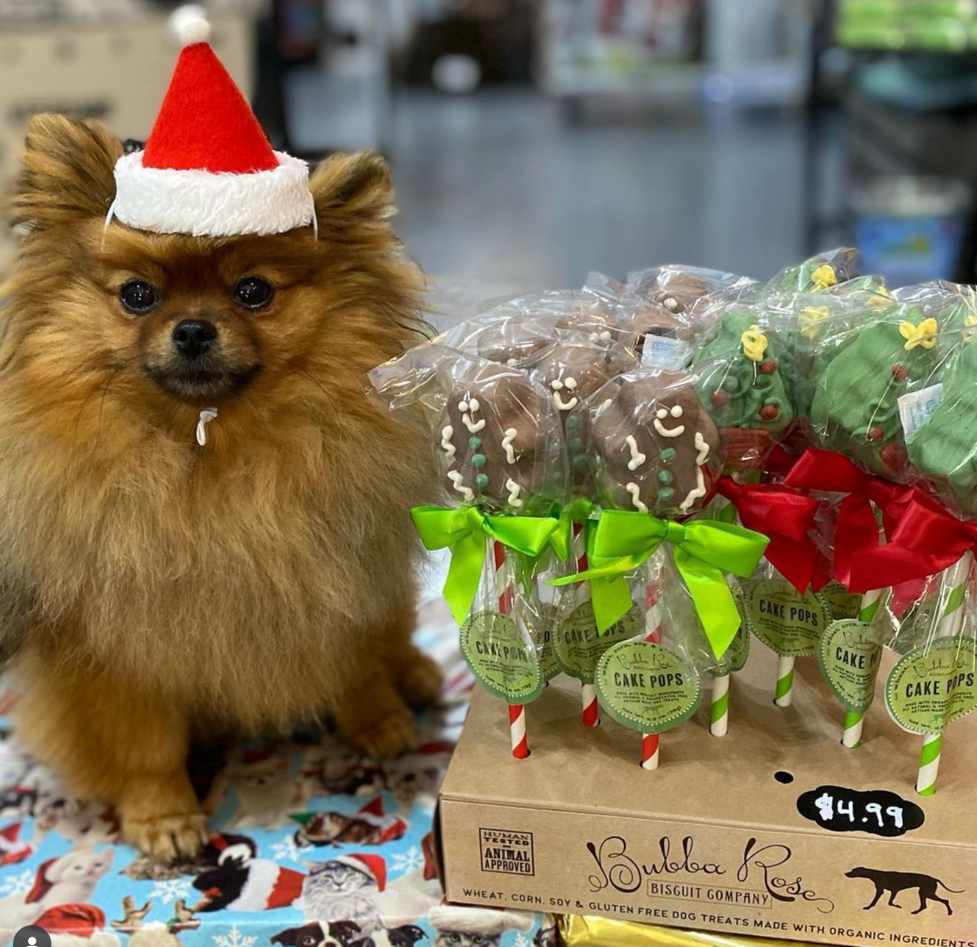 Small dog wearing a Santa hat next to a display of cake pops with a box labeled 'Bubba Rose' in a store setting.