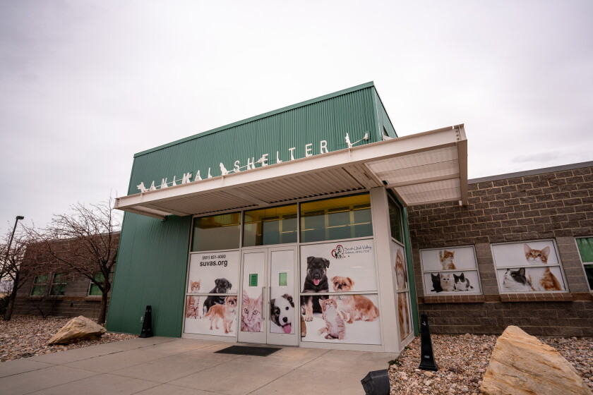 South Utah Valley Animal Shelter