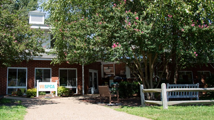 Virginia Beach SPCA