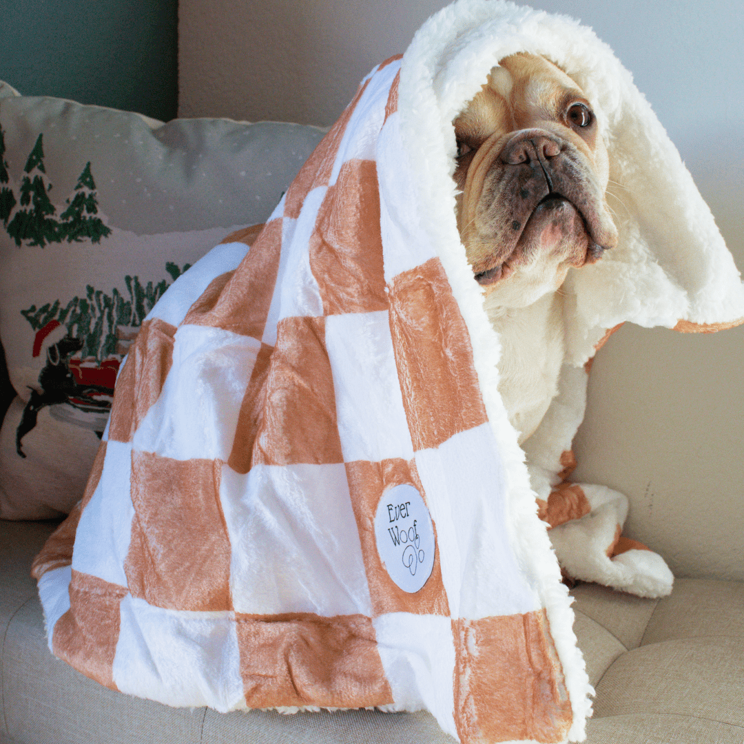 Check Me Out Calming Dog Blanket - LURE Wellness