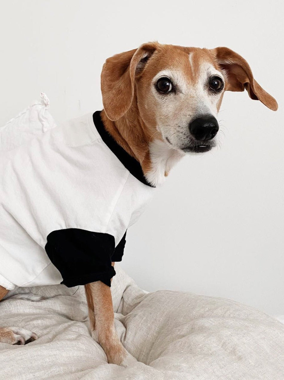 Classique Baseball Tee - LURE Wellness