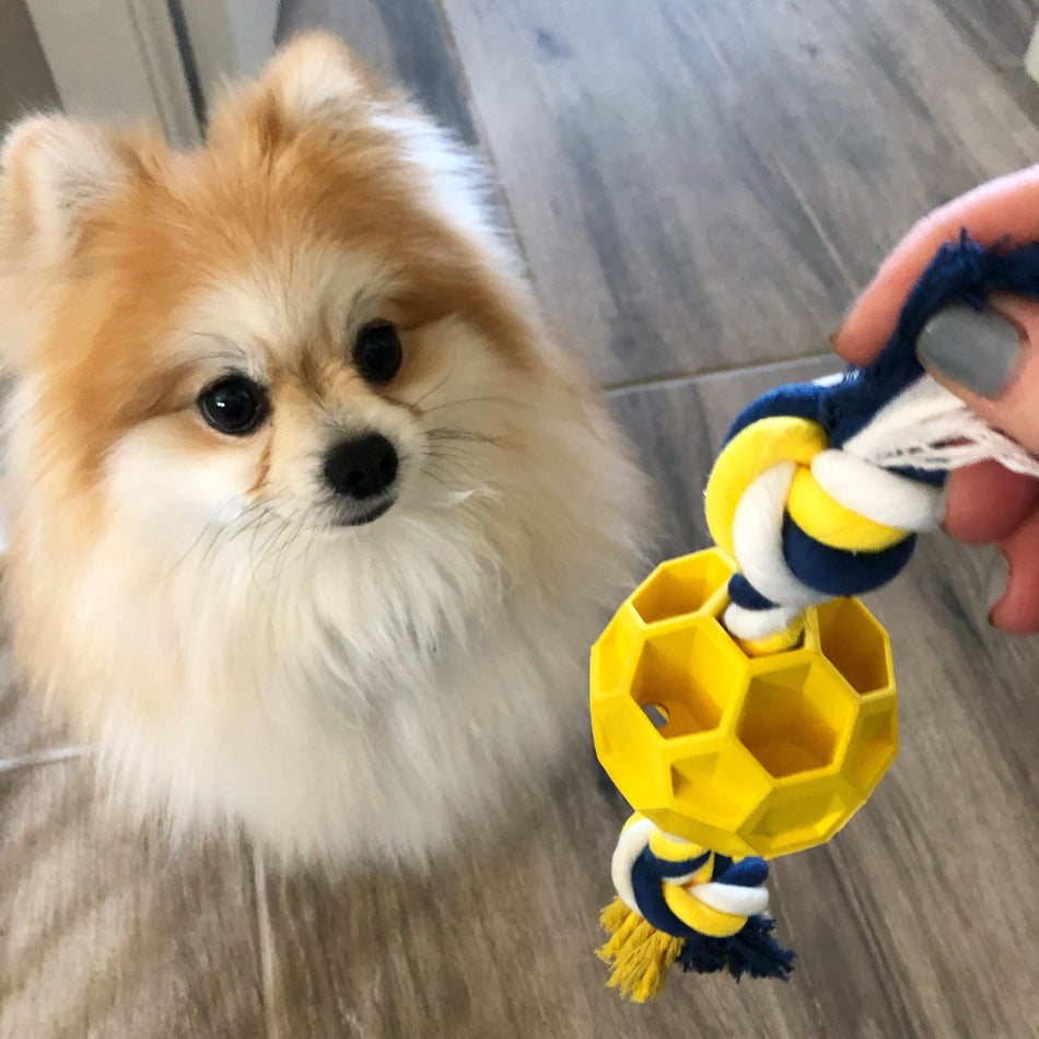 Rubber Soccer Ball Chew Toy with Tug Rope