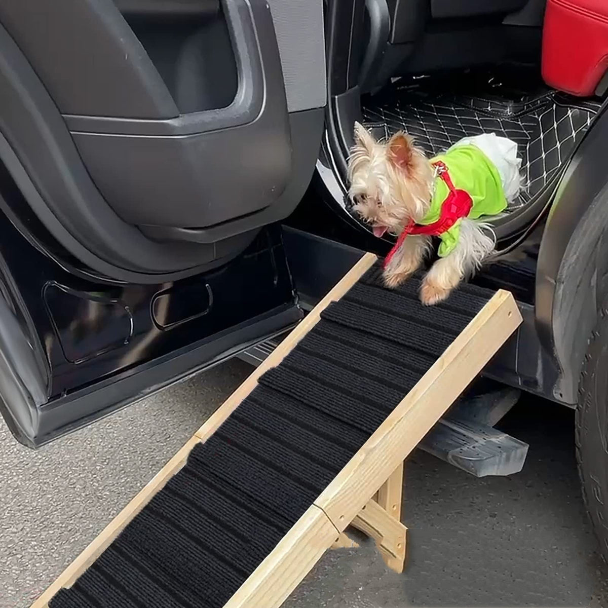 Dog using a pet ramp to enter a car