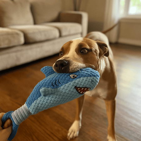 Duck Puppy Toy – Blue Plush Shark - LURE Wellness