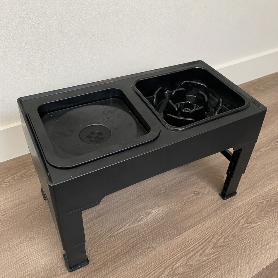Black elevated pet feeder on a wooden floor with a white wall background