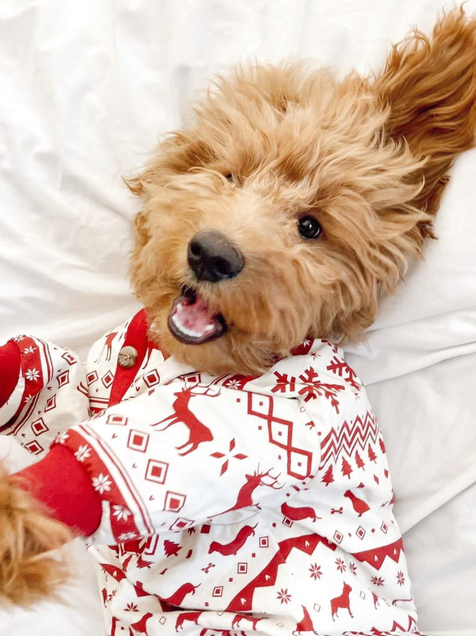 Festive Fam Holiday Pajamas – Matching Set for Dogs & Kids - LURE Wellness