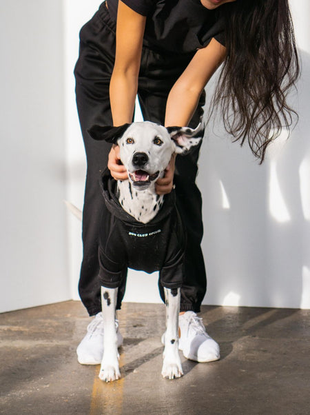 Fleece Hoodie (Dog) | Black Classic Pup Sweatshirt - LURE Wellness