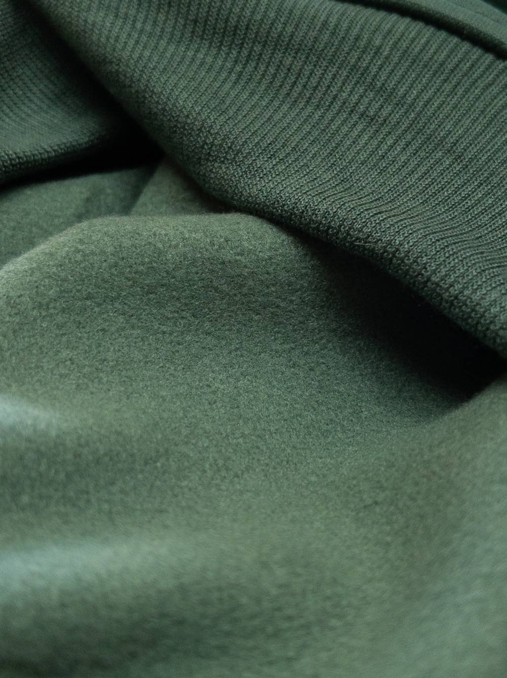 Fleece Hoodie (Dog) | Jade Cozy Pup Sweatshirt - LURE Wellness