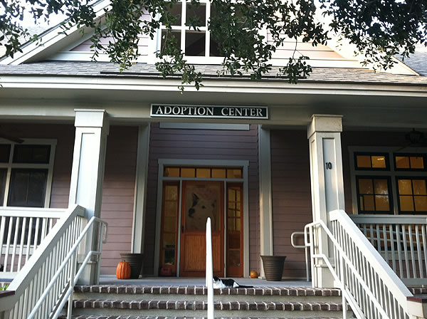 Hilton Head Humane Association