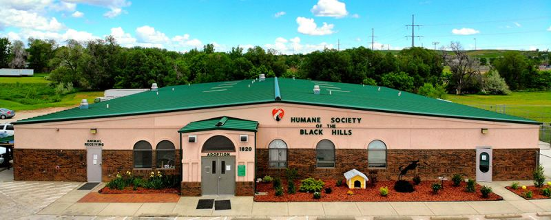 Humane Society of the Black Hills