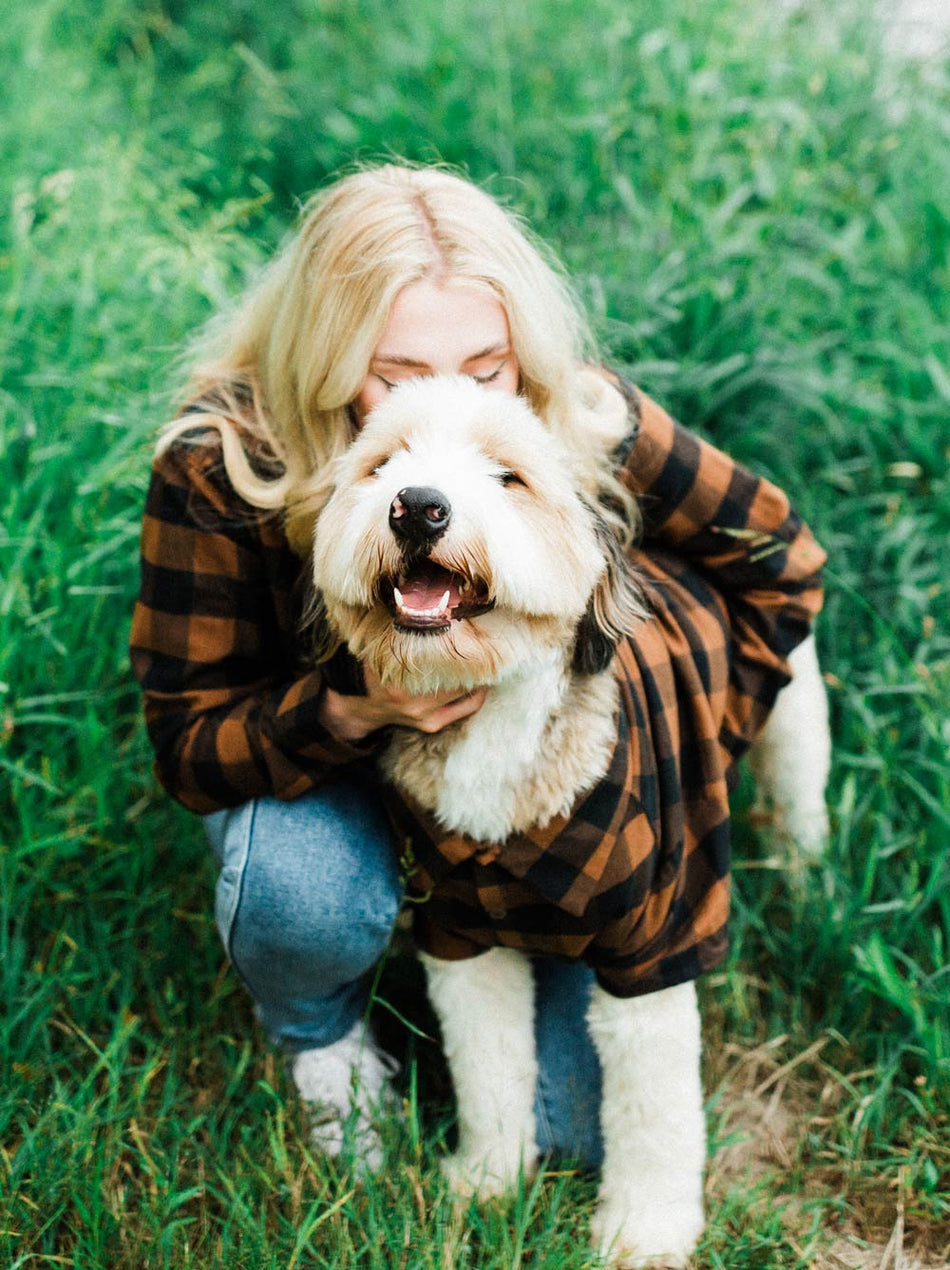 Lodge Flannel – Matching Brushed Cotton Shirt for Dogs & Owners - LURE Wellness