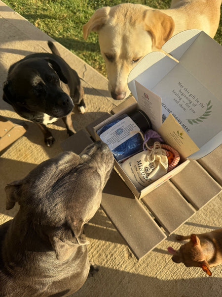 LURE Winter Clarity Kit - LURE Wellness