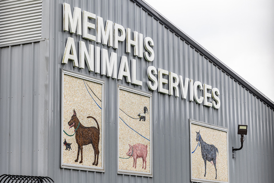 Memphis Animal Services