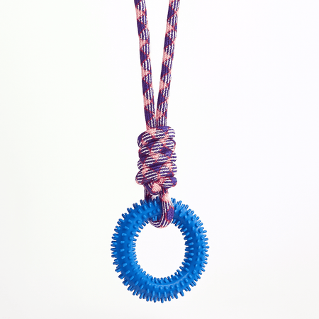 Mindful Tug Rope Toy – Gentle on Gums (Blue) - LURE Wellness