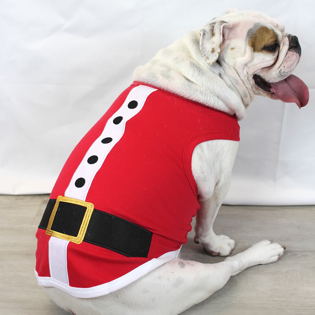Parisian Pet 'Santa'Dog Shirt - Christmas Pet Apparel for Holiday Cheer, Red - LURE Wellness