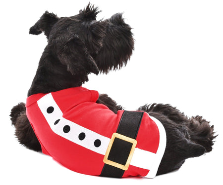 Parisian Pet 'Santa'Dog Shirt - Christmas Pet Apparel for Holiday Cheer, Red - LURE Wellness