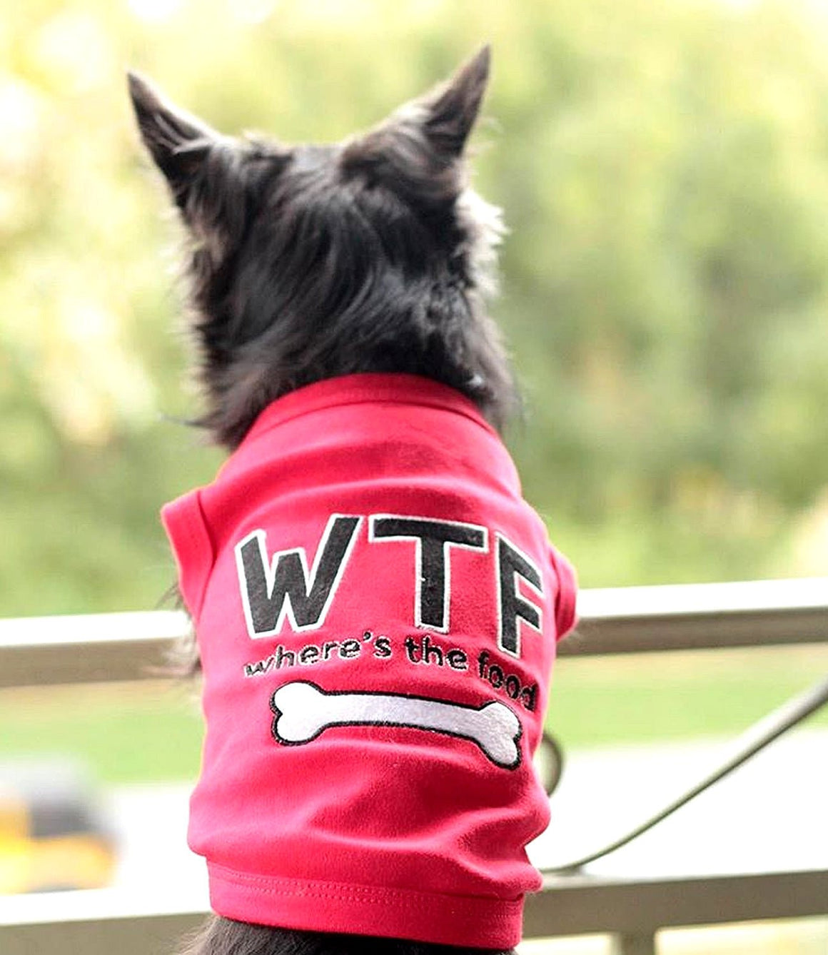 Parisian Pet 'WTF' Pet Shirt - Funny Dog & Cat Shirt, Red - LURE Wellness