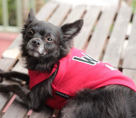 Parisian Pet 'WTF' Pet Shirt - Funny Dog & Cat Shirt, Red - LURE Wellness