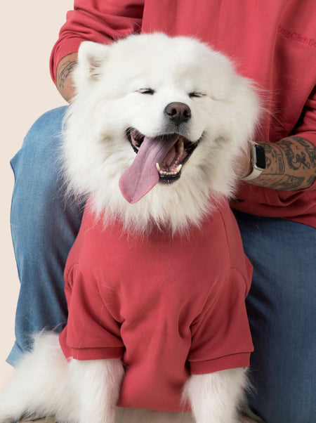 Perfect Hoodie | Matching Dog & Human Sweatshirt - LURE Wellness