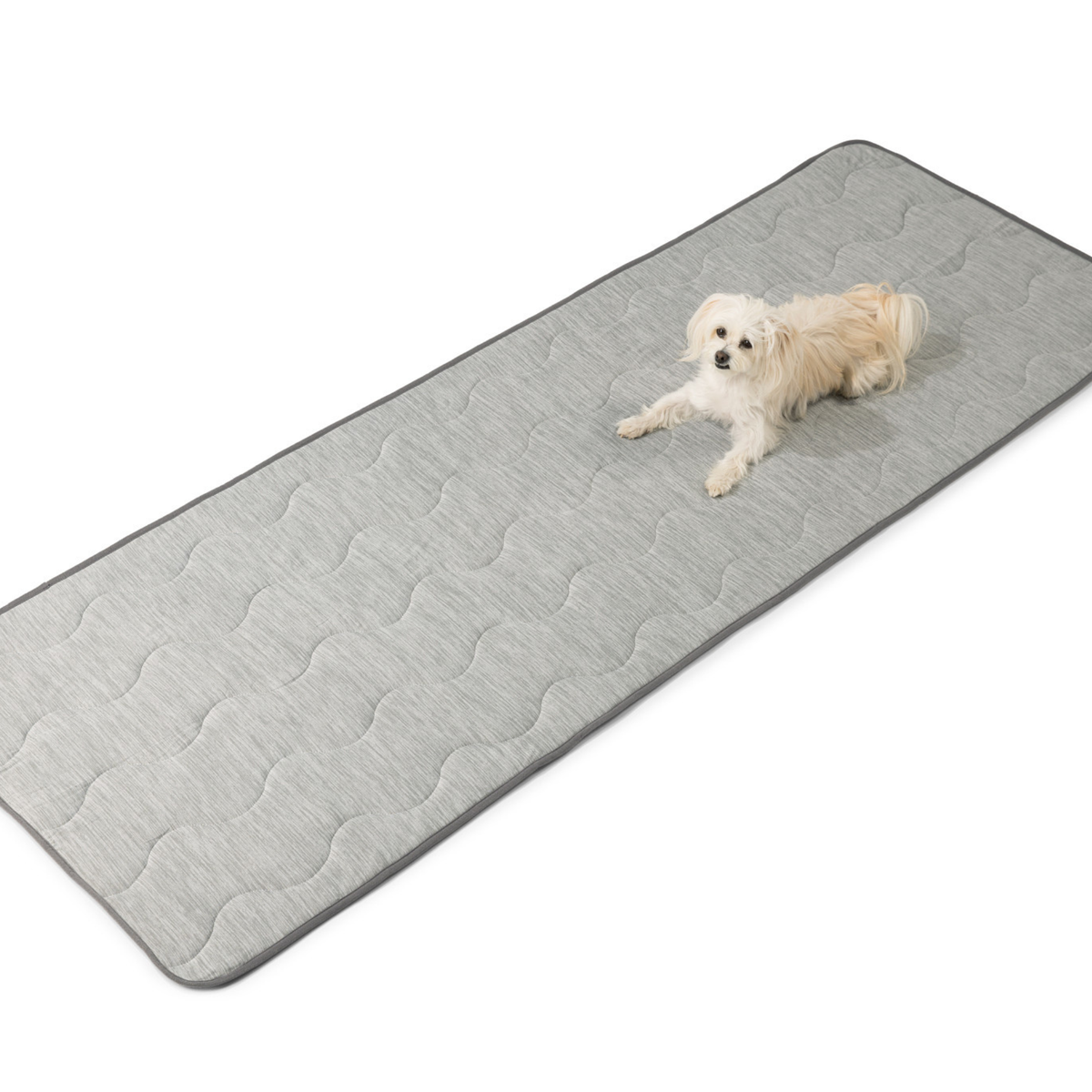 Dog lying on a large gray quilted mat on a white background